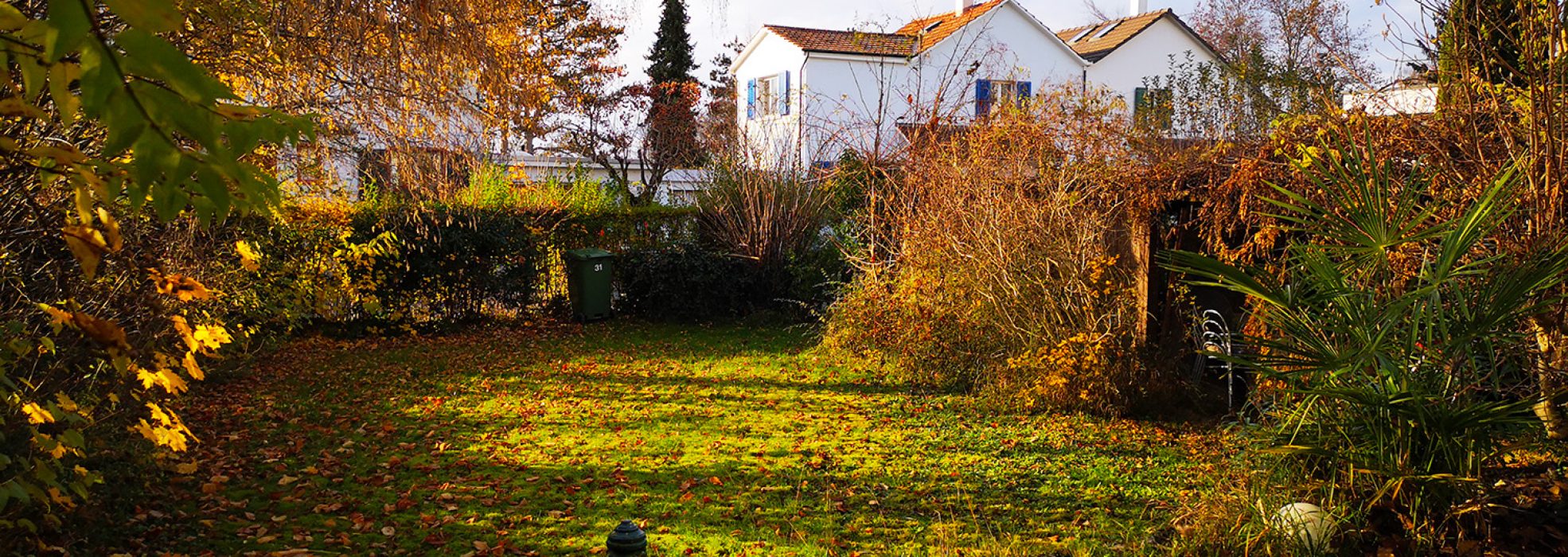 garten (6)